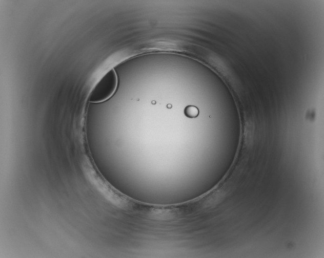 X0000115621378200911101406