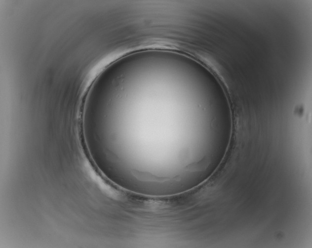 X0000115621379200911101406