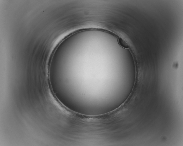 X0000115621380200911101406