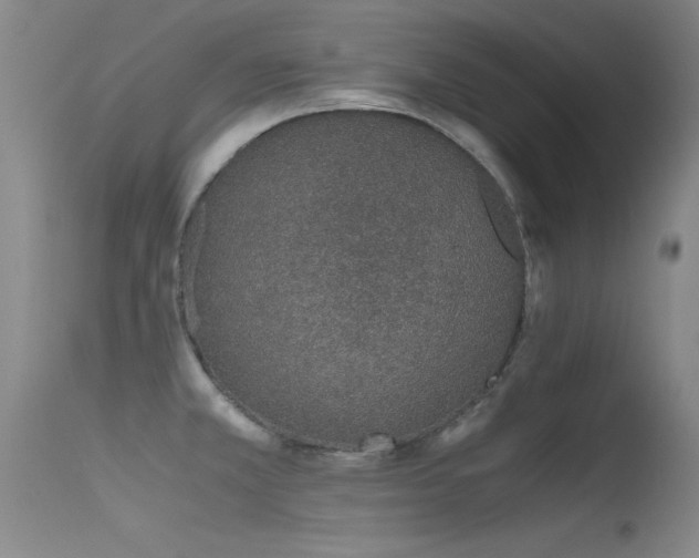 X0000115621381200911101406