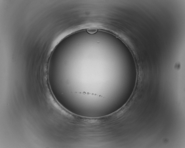 X0000115621382200911101406