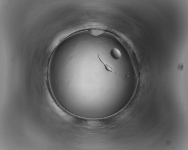 X0000115621383200911101406