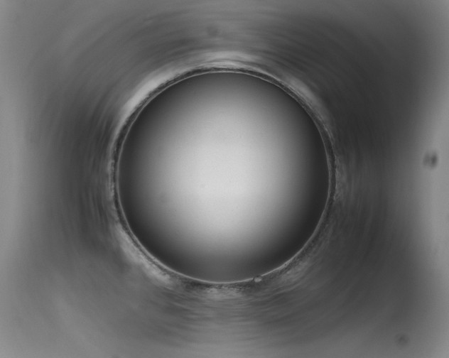 X0000115621384200911101406