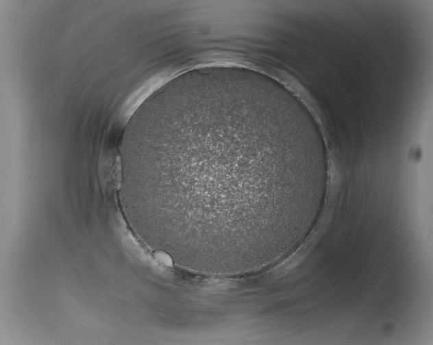 X0000115621385200911101405