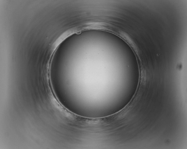 X0000115621386200911101405