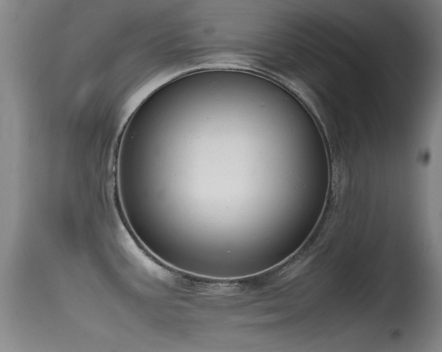 X0000115621387200911101405