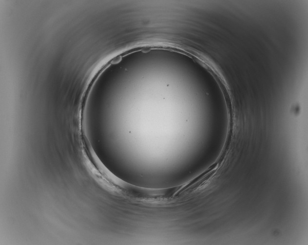 X0000115621388200911101405