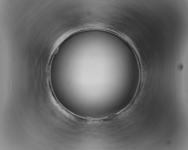 X0000115621389200911101405