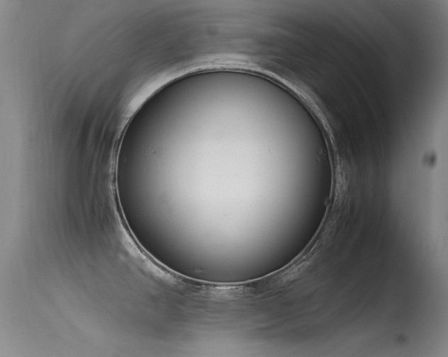 X0000115621390200911101405