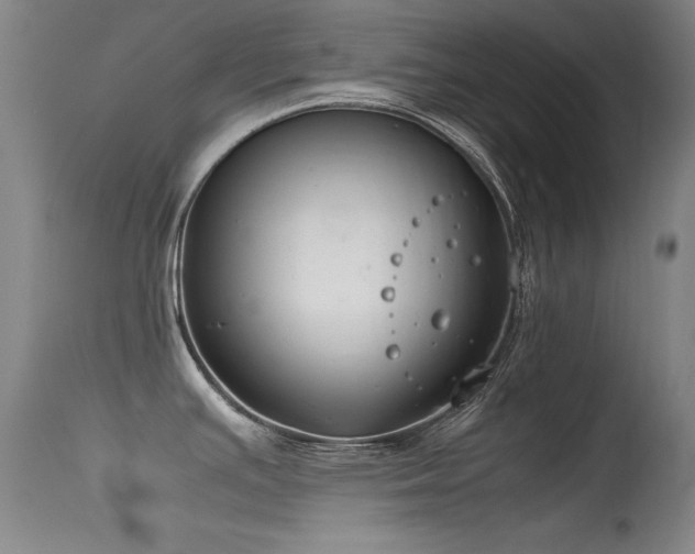 X0000115621391200911101405