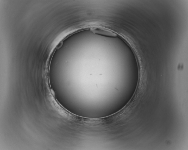 X0000115621392200911101405