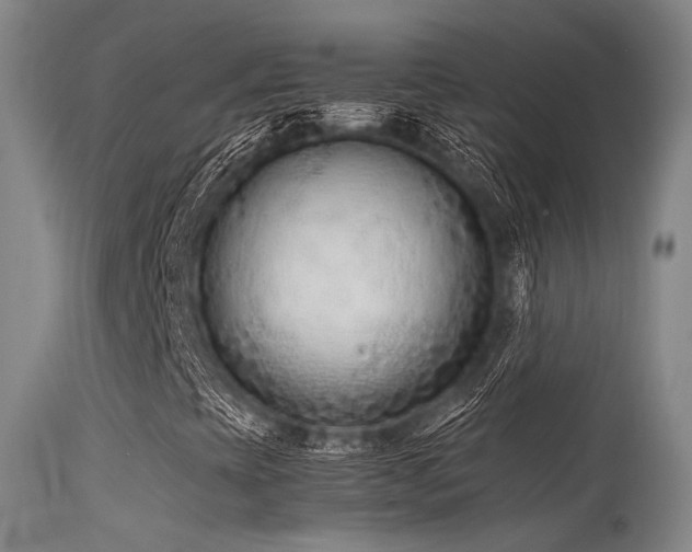 X0000115621393200911101405