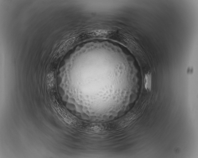 X0000115621395200911101405