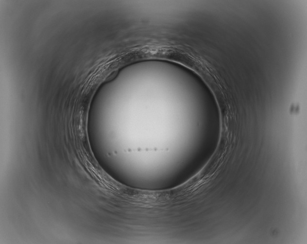 X0000115621396200911101405