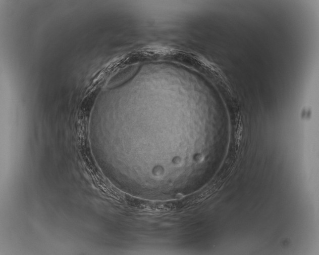 X0000115621397200911101405