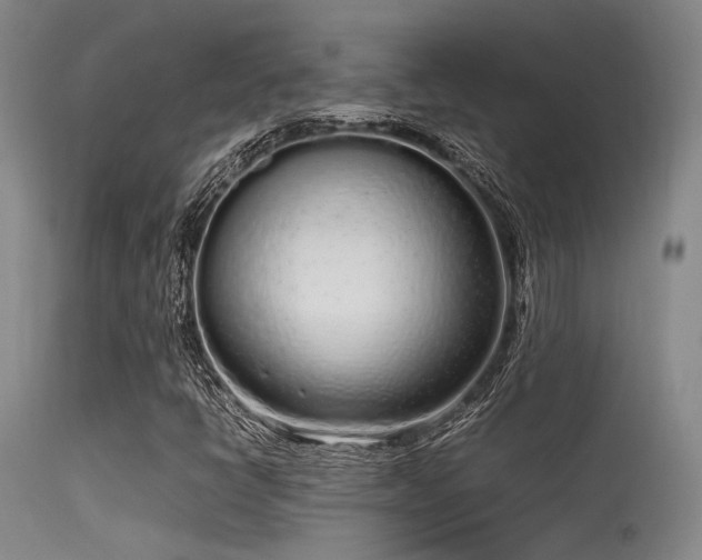 X0000115621398200911101405