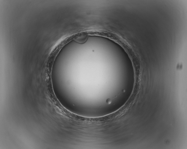 X0000115621400200911101405