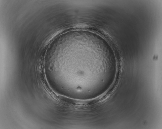 X0000115621401200911101405