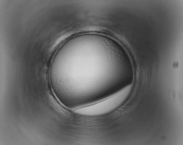 X0000115621404200911101405