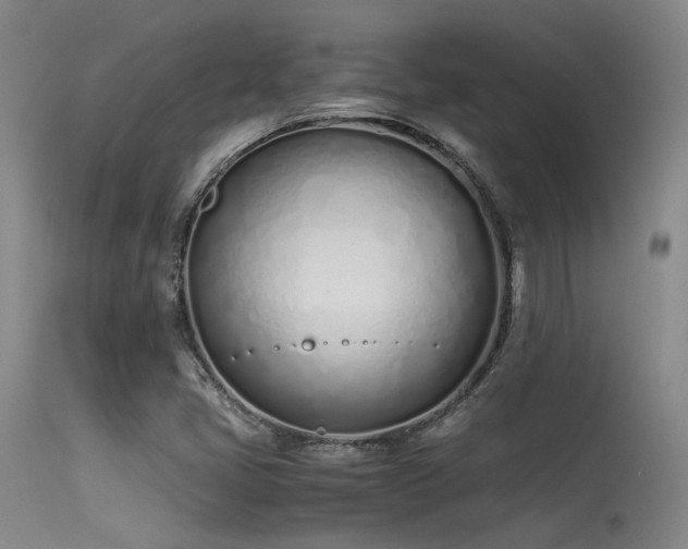 X0000115621405200911101405