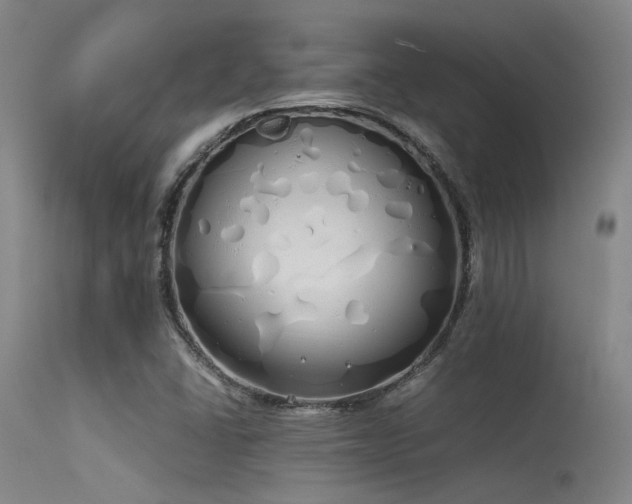 X0000115621406200911101405