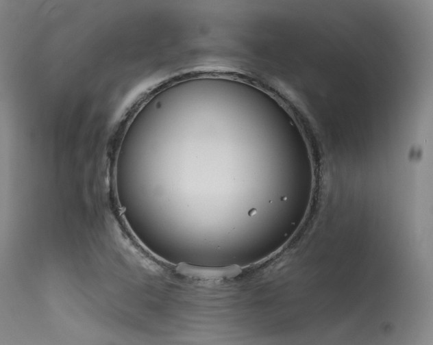 X0000115621408200911101405