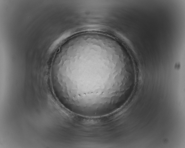 X0000115621411200911101405