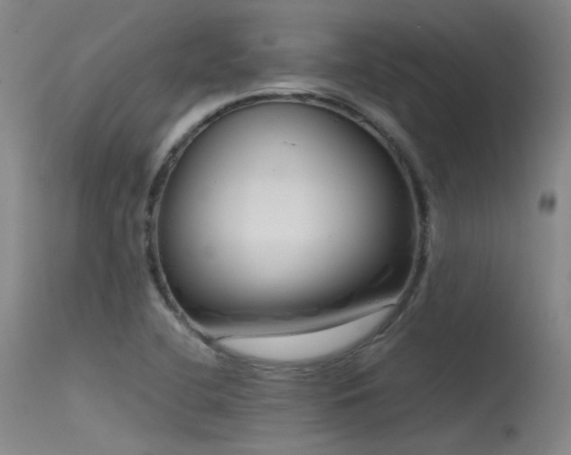 X0000115621412200911101405