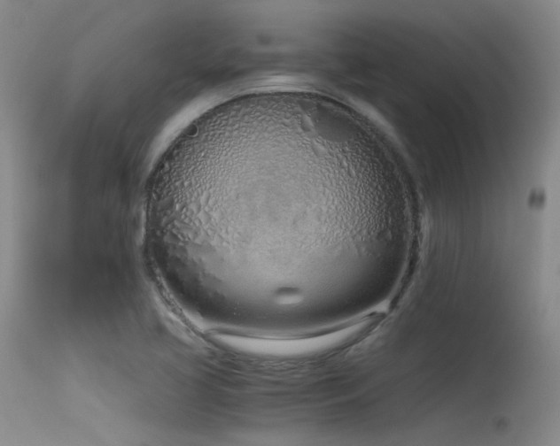 X0000115621413200911101405