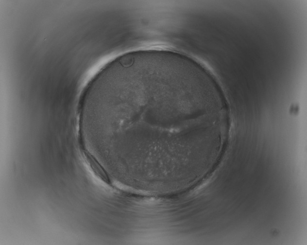 X0000115621414200911101405