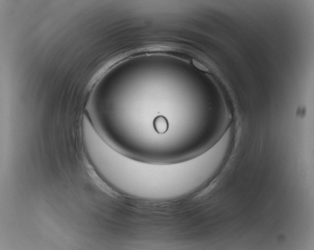 X0000115621417200911101405