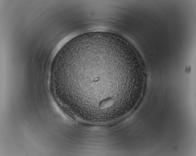 X0000115621418200911101405