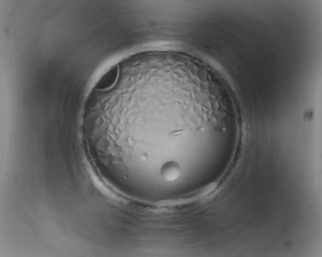 X0000115621421200911101405