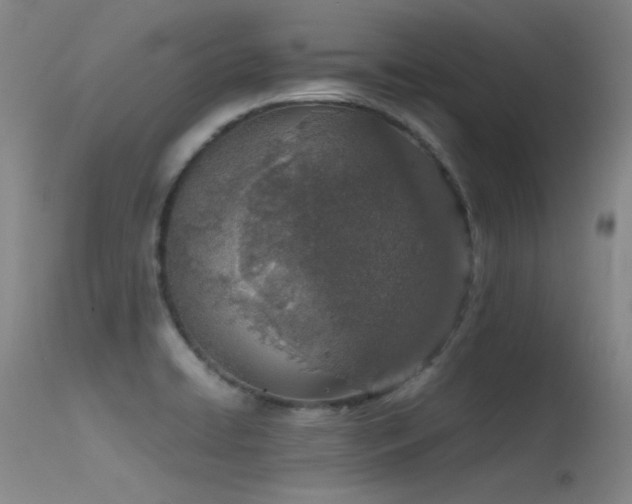 X0000115621422200911101405