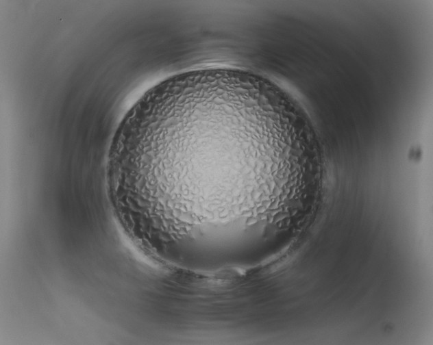 X0000115621423200911101405