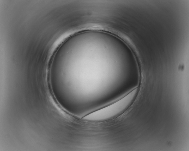 X0000115621424200911101405