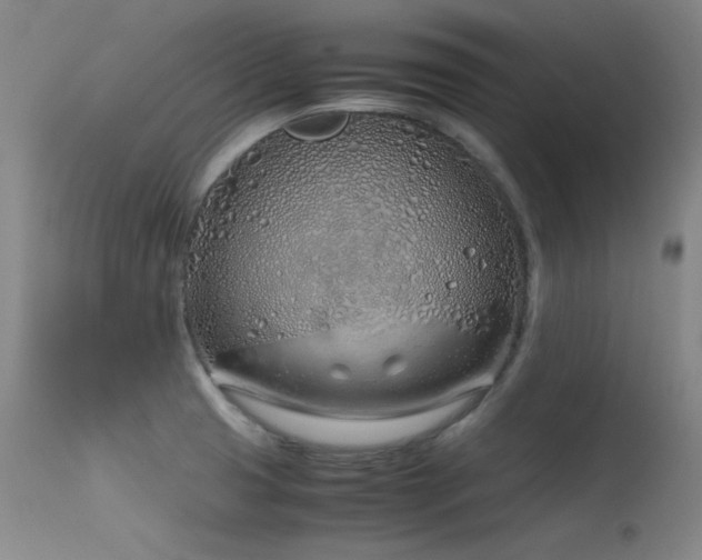 X0000115621425200911101405