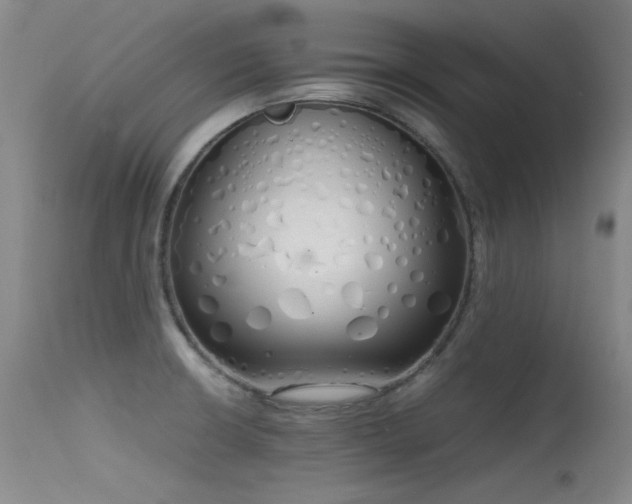 X0000115621426200911101405