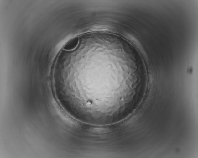 X0000115621427200911101405