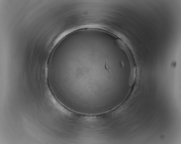 X0000115621428200911101405