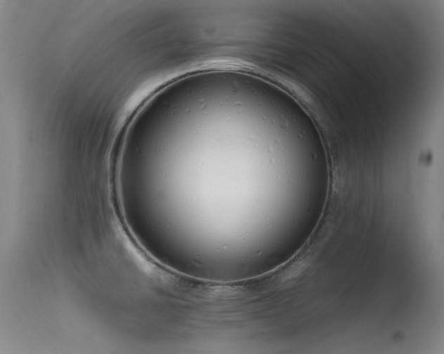 X0000115621430200911101405