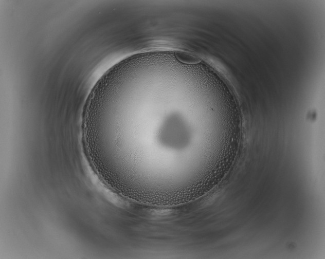 X0000115621431200911101405