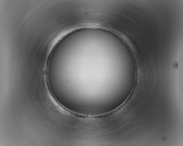 X0000115621432200911101405