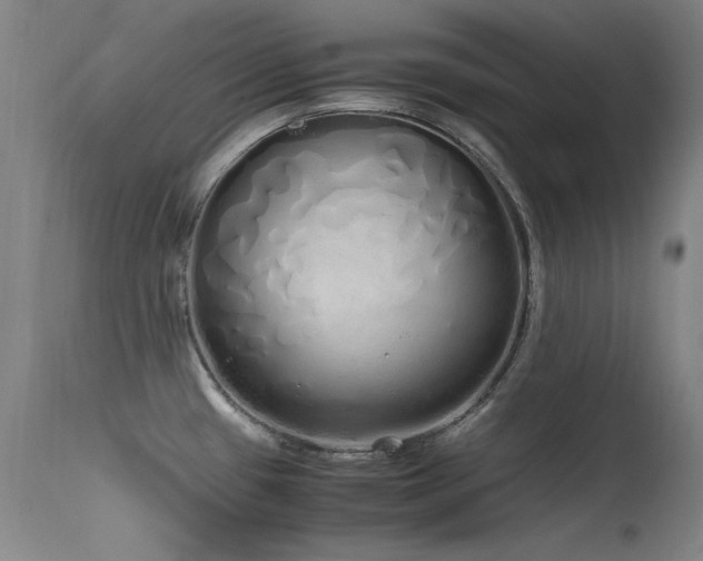 X0000115621433200911101405