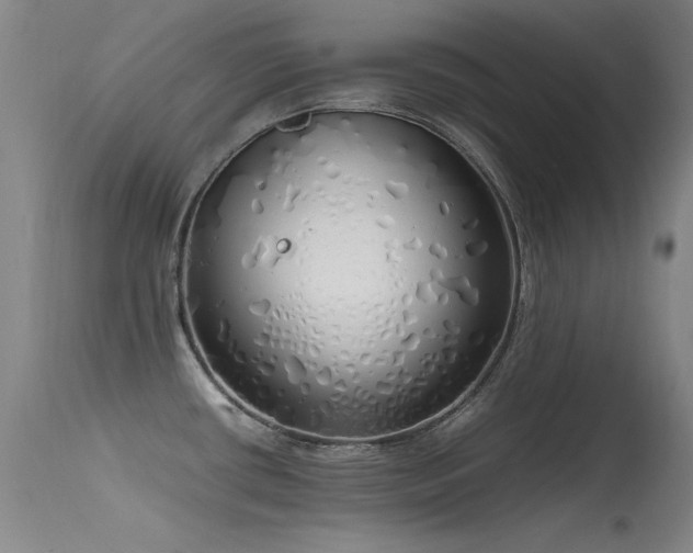 X0000115621434200911101405