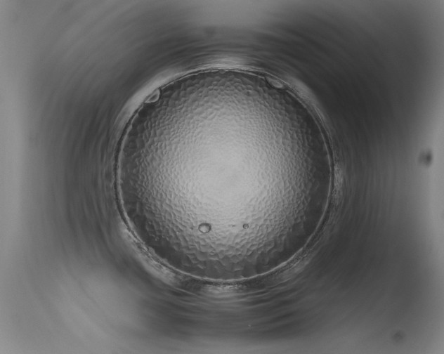 X0000115621435200911101405