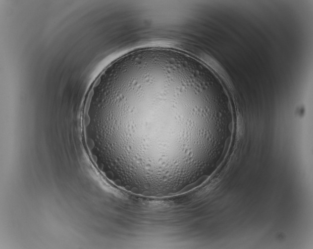 X0000115621436200911101405