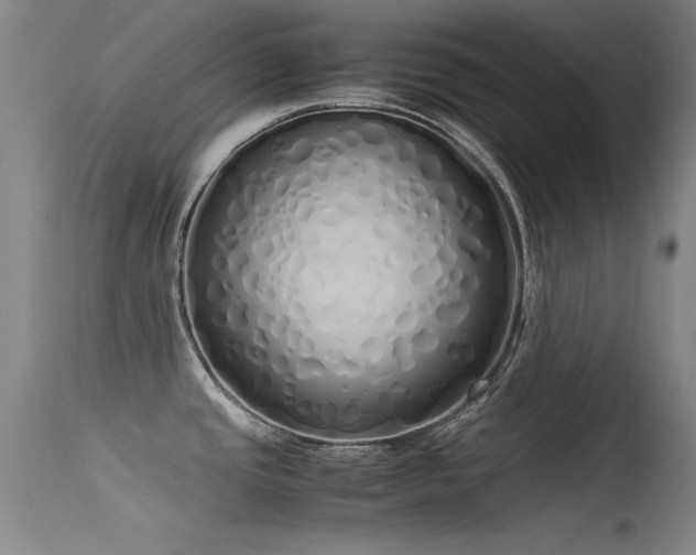 X0000115621437200911101405