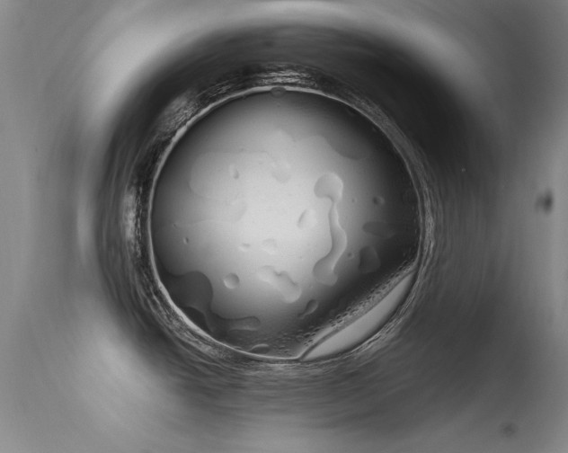 X0000115621438200911101405