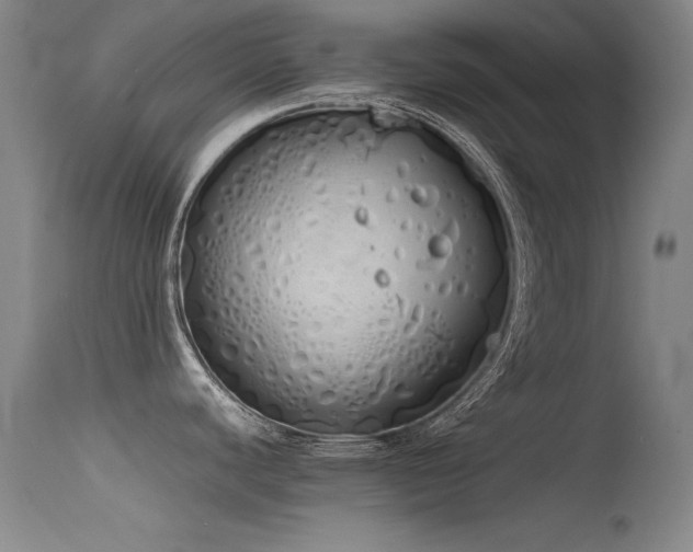 X0000115621440200911101405